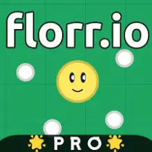 Florr.io icon