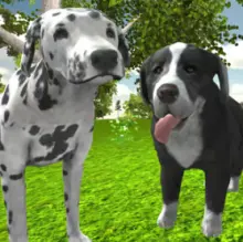 Dog Simulator 3D