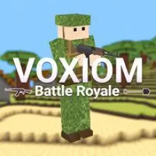 Voxiom. yo